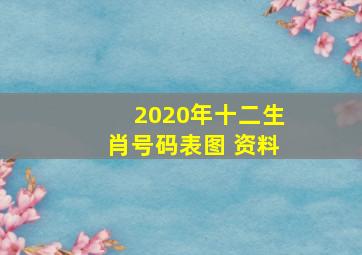 2020年十二生肖号码表图 资料